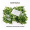 Perfect Holiday 66 LED Ivy Leaf Curtain String Lights Battery Operated - Warm White